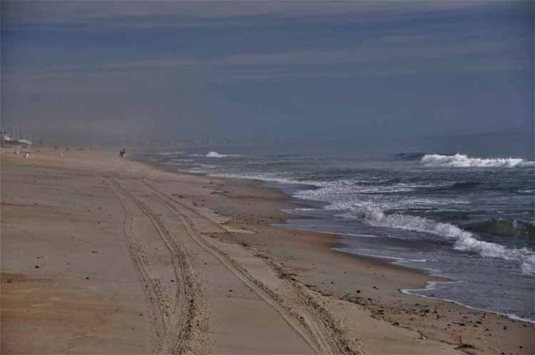 beach scene